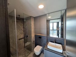 Irwell Hill Residences (D9), Apartment #461456521